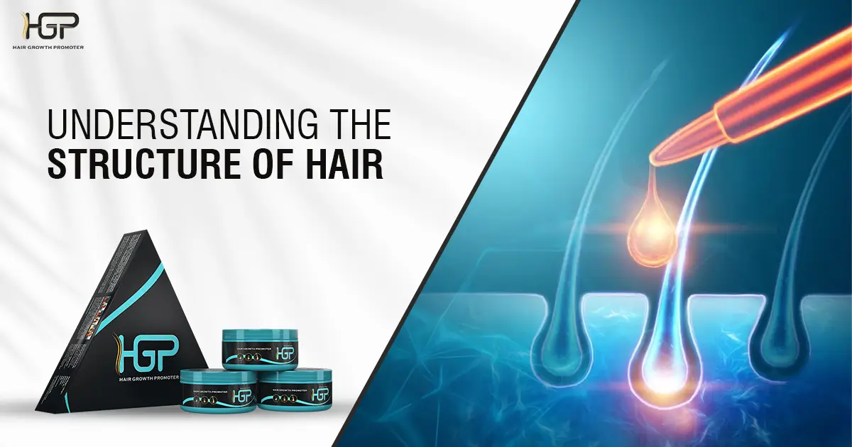 Hair Growth Cycle: Understanding The Structure of Hair Follicles